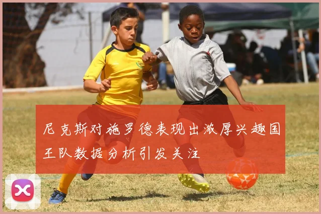 尼克斯对施罗德表现出浓厚兴趣国王队数据分析引发关注