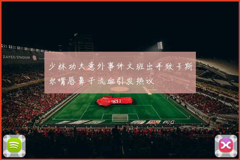 少林功夫意外事件文班出手致卡斯尔嘴唇鼻子流血引发热议